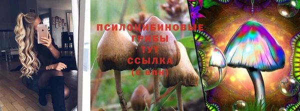 марихуана Гусиноозёрск