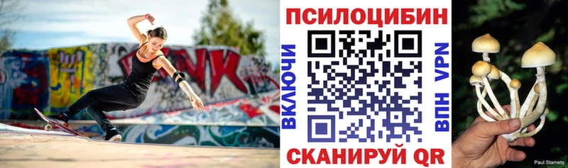 Купить закладки  Каргат  Галлюциногенные грибы Cubensis 