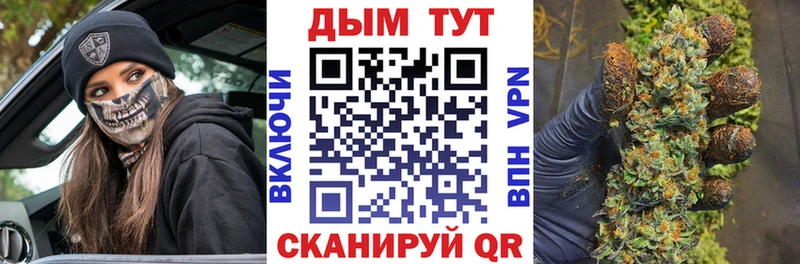 Купить где  Каргат  Канабис гибрид 